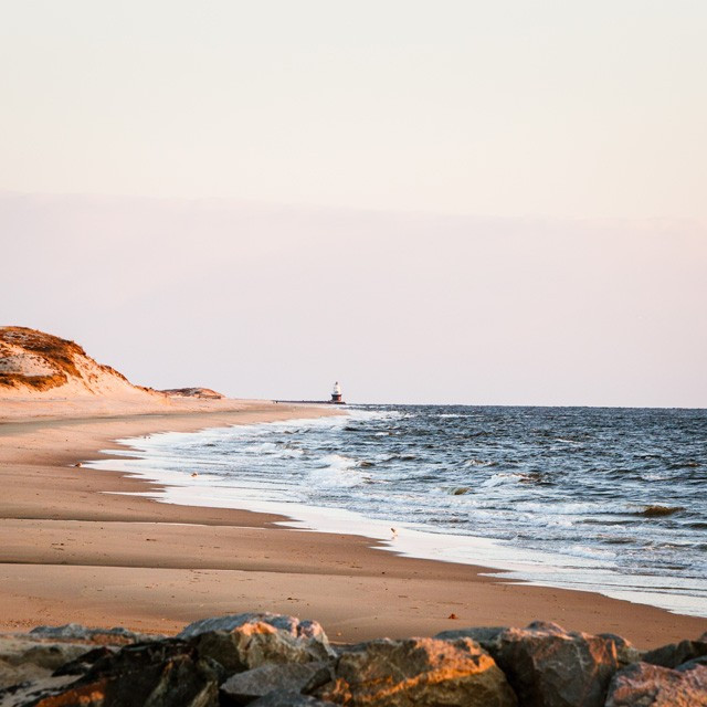 Beach scene